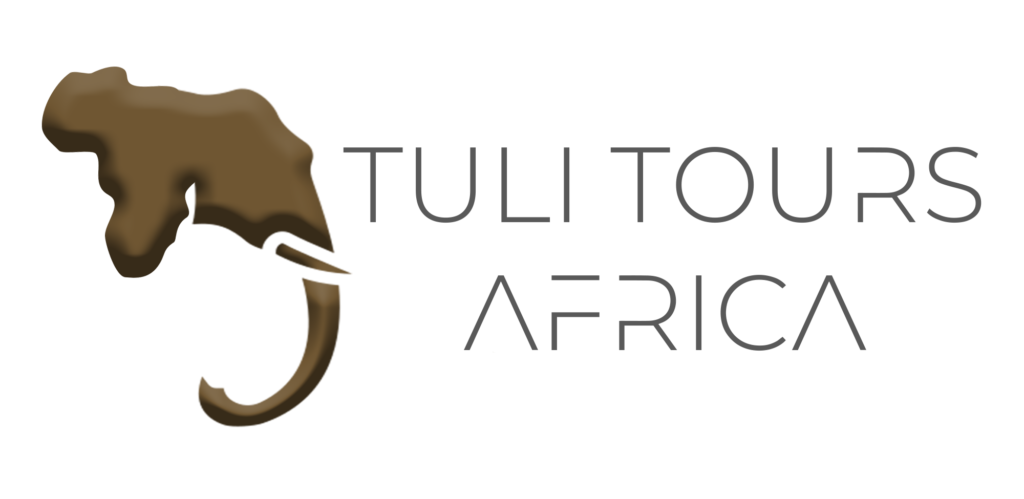 Tuli Tours Africa