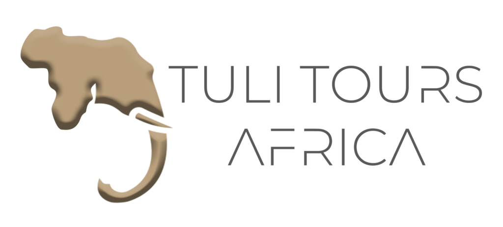 Tuli Tours Africa